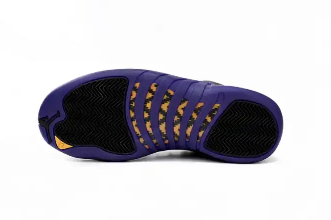 Rep Field Jordan 12 Retro CT8013-057 Air Purple 0624